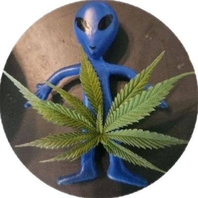 Mrphilip781740's profile picture. $JED is my photo-op alien he goes with me on all sorts of adventures now he is here to share his experience and spread joy and hopefully with a little luck some