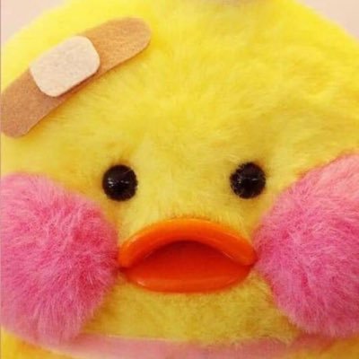 kimttoktti's profile picture. 중년의 느슨한 코덕