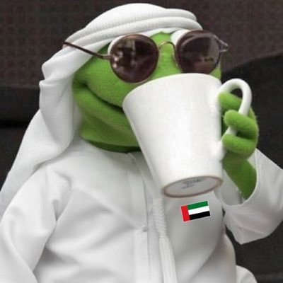 ichimankoshki's profile picture. a muppet living with 🐈‍⬛ 🐈‍⬛🐈‍⬛ and 📚 trying to be a violinist 🎻 and polyglot 🥲