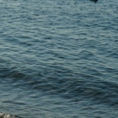 ihate_sushi__'s profile picture. Instagram@ihate_sushi__