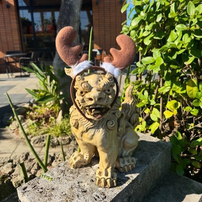 CmontaPr's profile picture. Gettin’ out of my regular dormant state, just in case…