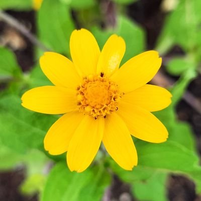 1gduyNFivWBckOc's profile picture. とてもシャイな性格です🤗☺️最近Aimerさんmiletさんの歌が心に響きわたってすごく元気をもらってます🎃宜しくです🍁💿🙇