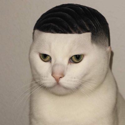 Jaxn_XO's profile picture. 22 | Native-American | Own @PR0JECTASTRAL | Part-Time Streamer on Twitch