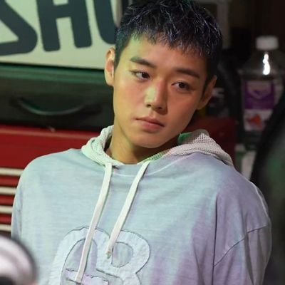 shseschild's profile picture. 