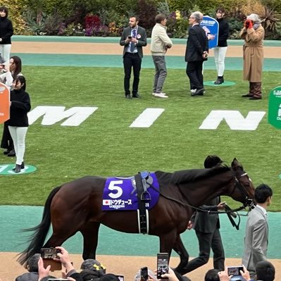 tikoriita05's profile picture. ドウデュース&ビザンチンドリーム