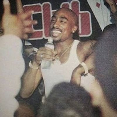 falaafabin's profile picture. 