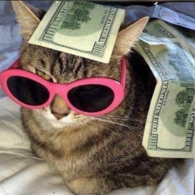 Olayinka_224's profile picture. 