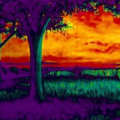 Picasso_1963's profile picture. Artist  🎨  Patriot  🇺🇲  Wife  

#MAGA 🇺🇲  #WorldPeace  #SaveTheChildren          
NO DMs
Rembrant1981 banned 1/7/21