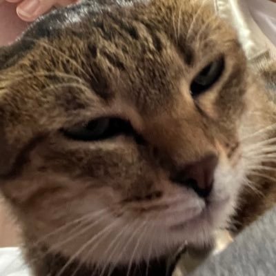 ererererer0805's profile picture. 183/60/19 小社恐👉👈