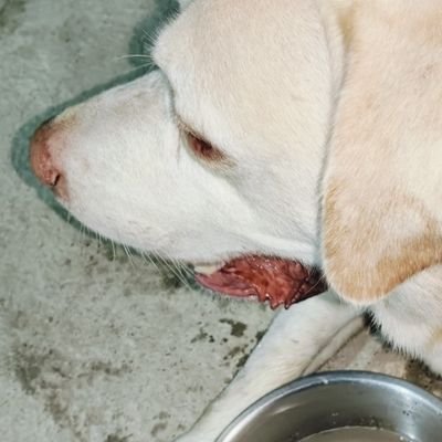 Ra33646394Akash's profile picture. 