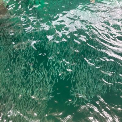 work_paan's profile picture. 