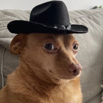 cottonsprout15's profile picture. AZRALPH all the way if hindi then hindi ako papayag