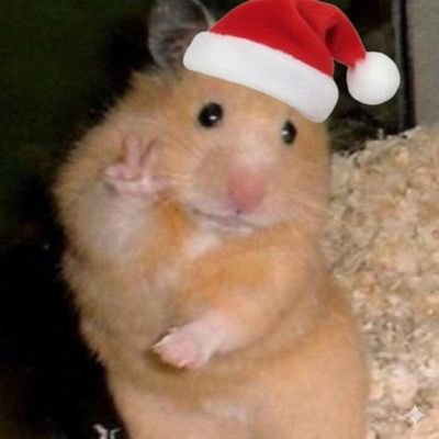 hamtol_log's profile picture. 무서워하면서 끝까지 걸어가는 김햄톨(20대 직장인)

#햄톨월간목표 #햄톨계획 #햄톨책추천 #햄톨경제기사 #햄톨100일챌린지