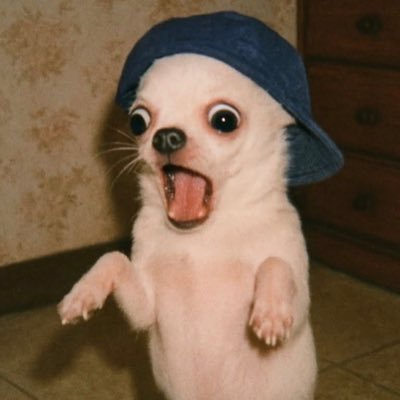 PhanuelAde's profile picture. 