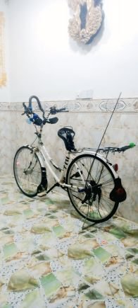 mrwd14964's profile picture. 