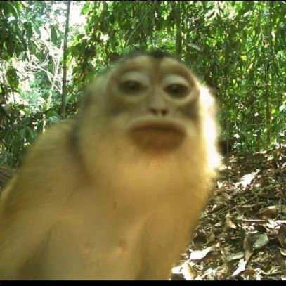 epaktaeus's profile picture. 25 he/him Support the hunger strike