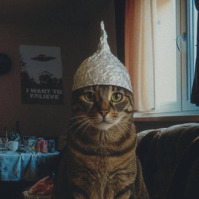 chef8020's profile picture. everything is a paradox