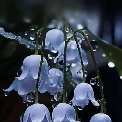 CalumScott68710's profile picture. 