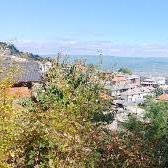 GarmenLen16084's profile picture. 