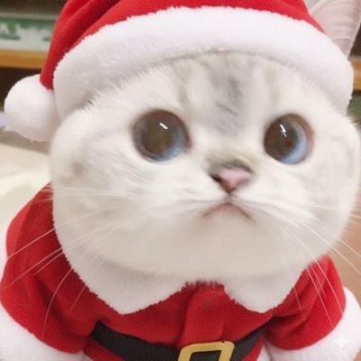 NNN_INV's profile picture. 성인 여성 / 돈 조아 인간 / 주식 / 투자 / 재테크 / 일상 / 혼잣말 多 / ✨️ 수제 정보글은 하이라이트 ✨️ /헤더 : 금홍님💛