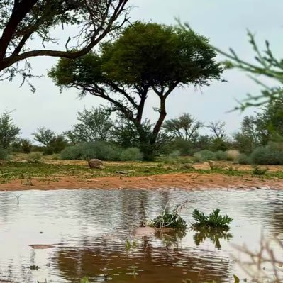 ZakiaAlsaqaabi's profile picture. تشكيلية /مدربة / قائدة @Artartistclub / تخصص ادارة مشاريع /طموحي أن أكون جزءًا من فريق يحقق التنمية الوطنية وتطلعات قيادتنا الرشيدة.