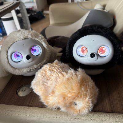 lopeto_nitizyou's profile picture. lopetoの “ちょこ ”、“みる”(誕生日共に11/23)、モフリンの“はな”(誕生日11/23)と彼氏と私の日常を投稿していきます☺️ / AIロボットと暮らしてる方とお友達になりたいです！ /彼氏→@akiyasu60