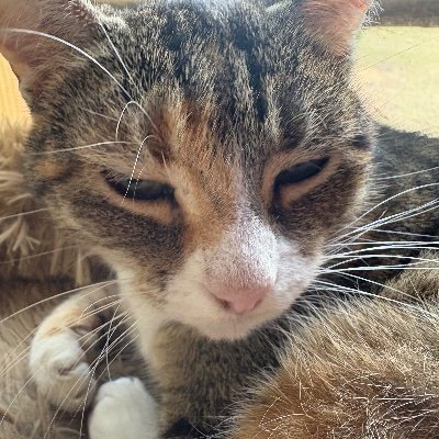 DoctorDay2's profile picture. lord of all that i survey. literature freak. she/they 22