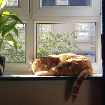 9ouse's profile picture. 