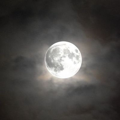 hji_qi's profile picture. 