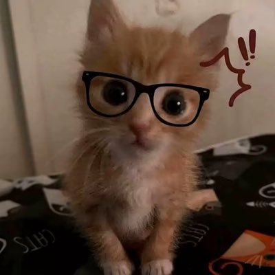 Qoaiyu42203's profile picture. 欢迎打扰 私信只回分享的风景美食照片/发点肌肉也行😘