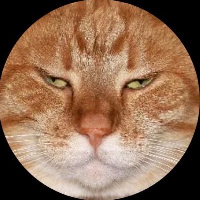 not_oayo's profile picture. listening to lofi all day long