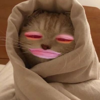 __Yadaporn__'s profile picture. 