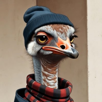 Ostrich_ttv's profile picture. 22.23プレ維持してます。 @ESCL_GGフォロバ200%規約違反×