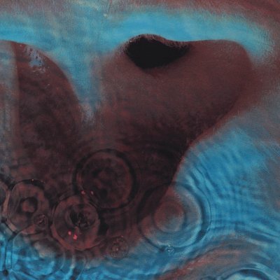 paneerparanthas's profile picture. 20 | Learning Full Stack | Documenting