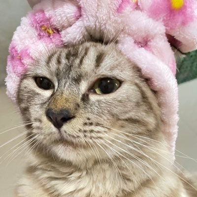 uuputtie's profile picture. 