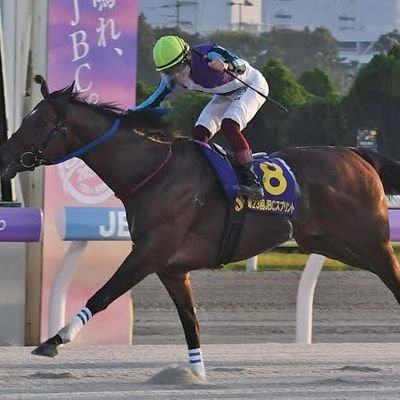 keiba_nano's profile picture. イグナイター❤️推し🐴 ㊗️兵庫功勲馬イグナイター　　　　　　　　　　　　　　　　　　　　　　　　　　　　専用タグ🏷️→　#なのしし呟き　#なのくん競馬予想　　
　　　　　　　　　　　　　　　　　　　　　　　　　【#無料予想】馬券の方は自己責任なのでよろしく😎👍