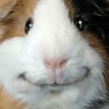 yamaku09's profile picture. zzzzzzzzzzzzzzzzzzzzzzzz