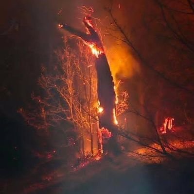 bajikookoo's profile picture. ادبیاتی|
کم‌ صبر و حوصله