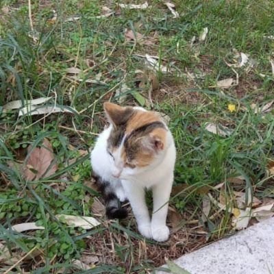 nidhiii32's profile picture. live & let live