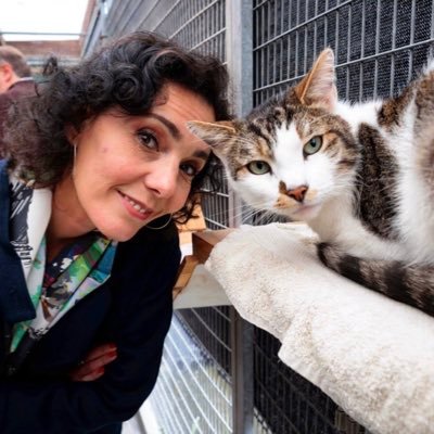 SMorgan58372's profile picture. #Bitcoin miner & analysts, option trader 📈, coach and investor. A woman 👩 who believes in crypto. I help business owners & investors maximize their wealth💰