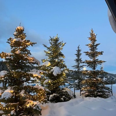 Natalie198n8zz's profile picture. America First, chasing dreams, brave women, adventurous girls. 🇺🇸, no bots allowed. #Cristiano Ronaldo  #Taylor Swift  #Narendra Modi #Barack