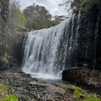 Hayleyemery14's profile picture. 