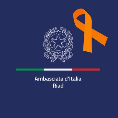 ItalyinKSA's profile picture. Official account of the Embassy of Italy in Riyadh. RTs and followings are not endorsements.