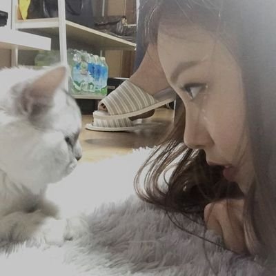 stopbengong's profile picture. anti-procrastination account