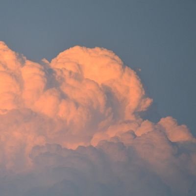 ars_telier's profile picture. 学生｜illustration｜
これからちょっとずつ絵あげる予定です