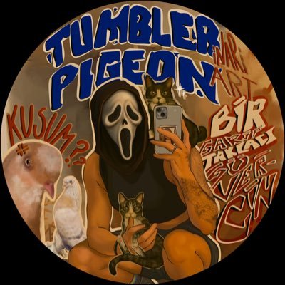 taklaciguv3rcin's profile picture. bir garip taklacı güvercin