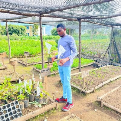 MANIRAFASHAAlb2's profile picture. Spécialiste in horticulture(Bachelor )production, passionate in agriculture, Agri entrepreneur, influencer on social media.
Founder of GIB farm Ltd