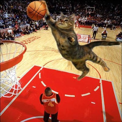 SportsSeason_'s profile picture. 