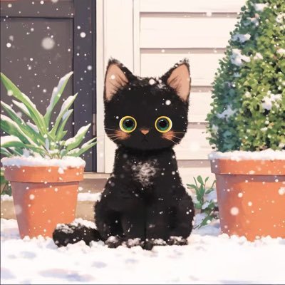 Dawn122336's profile picture. 聽從己心，無問東西！ 拒絕❌私訊。