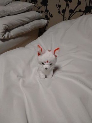 drmsuki's profile picture. 日日是好日